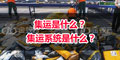 集運是什么？ 集運系統(tǒng)是什么？