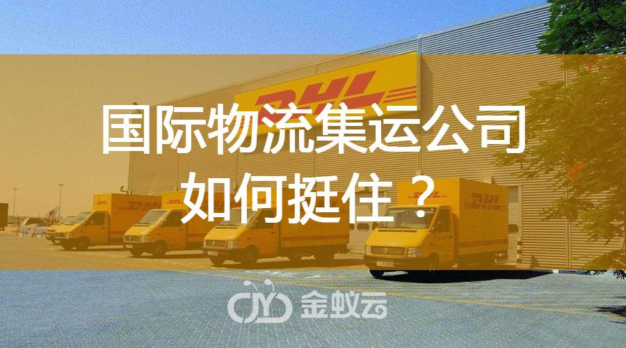 國際物流集運(yùn)公司如何挺?。?/></div><div   id="lxzn77h"   class=