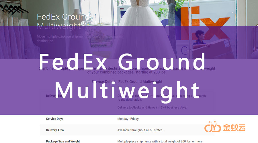FedEx Multiweight 是什么？