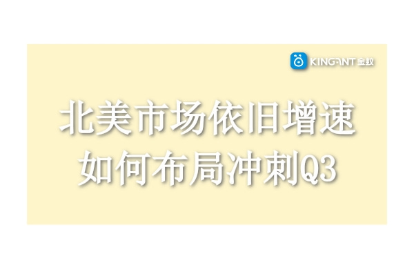 跨境電商：北美市場(chǎng)依舊增速，如何布局沖刺Q3