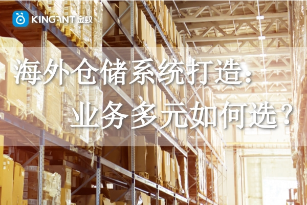 海外倉(cāng)系統(tǒng)打造：業(yè)務(wù)多元如何選？