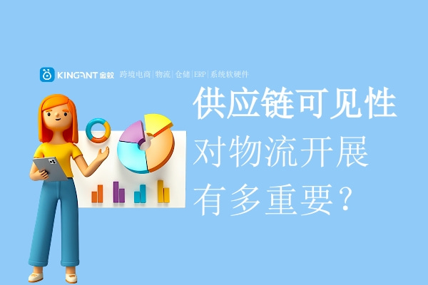 國際物流系統(tǒng)|集運系統(tǒng)：供應鏈可見性對物流開展有多重要？