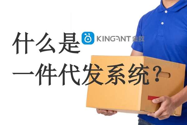 什么是一件代發(fā)系統(tǒng)？